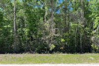 Undeveloped Land for sale in Dixie County, Florida