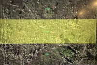 Undeveloped Land for sale in Charlotte County, Florida