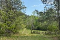 Undeveloped Land for sale in Murray County, Georgia
