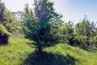 Undeveloped Land for sale in Anderson County, South Carolina