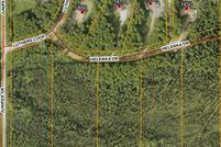 Undeveloped Land for sale in Fairbanks North Star Borough, Alaska