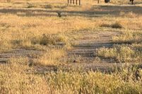 Property for sale in Kern County, California