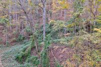 Undeveloped Land for sale in Sevier County, Tennessee