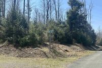 Undeveloped Land for sale in Tucker County, West Virginia