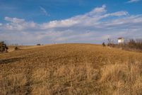 Undeveloped Land for sale in Olmsted County, Minnesota