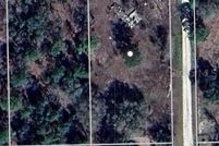 Undeveloped Land for sale in Levy County, Florida