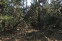 Undeveloped Land for sale in Putnam County, Florida