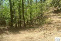 Undeveloped Land for sale in Patrick County, Virginia