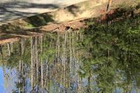 Undeveloped Land for sale in Vance County, North Carolina