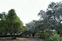 Undeveloped Land for sale in Marion County, Florida