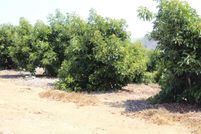 Undeveloped Land for sale in Riverside County, California