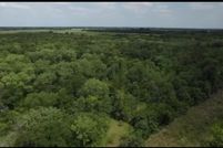 Undeveloped Land for sale in Lamar County, Texas