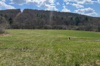 Undeveloped Land for sale in Delaware County, New York