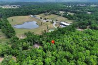 Undeveloped Land for sale in Marion County, Florida