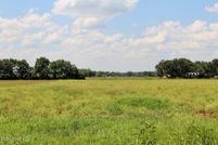 Undeveloped Land for sale in George County, Mississippi