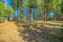 Property for sale in Plumas County, California