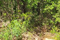 Property for sale in Sharp County, Arkansas