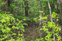 Undeveloped Land for sale in Sharp County, Arkansas