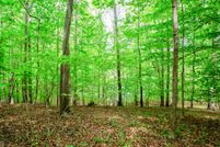 Undeveloped Land for sale in Forsyth County, Georgia