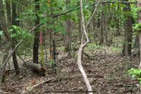 Property for sale in Pulaski County, Arkansas