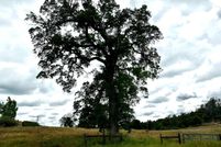 Property for sale in Madera County, California