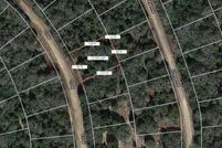 Undeveloped Land for sale in Leon County, Texas