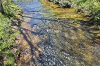 Lakefront Property for sale in Bland County, Virginia