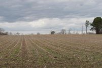 Property for sale in Hertford County, North Carolina