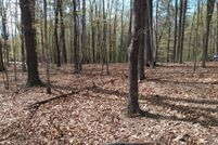 Undeveloped Land for sale in Morgan County, West Virginia