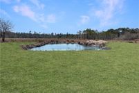 Undeveloped Land for sale in Brantley County, Georgia