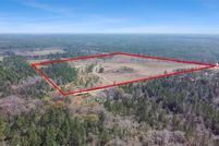 Undeveloped Land for sale in Brantley County, Georgia