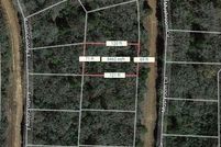 Undeveloped Land for sale in Leon County, Texas