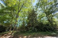 Undeveloped Land for sale in Elbert County, Georgia