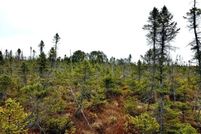 Property for sale in Price County, Wisconsin