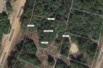 Undeveloped Land for sale in Leon County, Texas