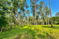 Undeveloped Land for sale in Shelby County, Texas