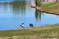 Property for sale in Hood County, Texas