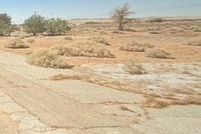 Property for sale in San Bernardino County, California