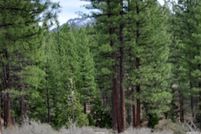 Property for sale in Plumas County, California