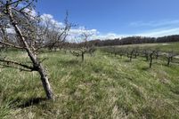 Undeveloped Land for sale in Manistee County, Michigan