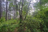 Undeveloped Land for sale in Beaufort County, North Carolina