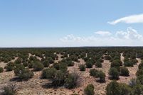 Undeveloped Land for sale in Navajo County, Arizona
