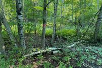 Undeveloped Land for sale in Osceola County, Michigan
