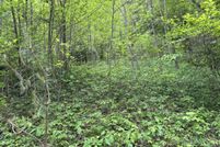 Property for sale in Jackson County, North Carolina