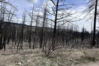Undeveloped Land for sale in Klamath County, Oregon