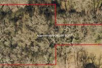 Undeveloped Land for sale in Marion County, Texas