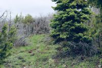 Undeveloped Land for sale in Sanpete County, Utah