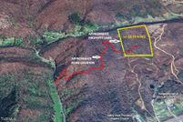 Undeveloped Land for sale in Lee County, Virginia