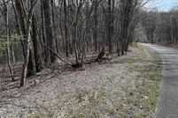 Undeveloped Land for sale in Gilmer County, Georgia