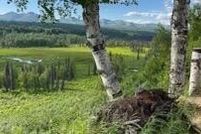 Property for sale in Matanuska-Susitna Borough, Alaska